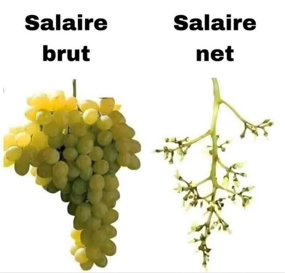 Celui qui nous appauvrit n'est jamais celui qui nous rémunère.  
Celui qui nous appauvrit est toujours celui qui nous taxe et impose.