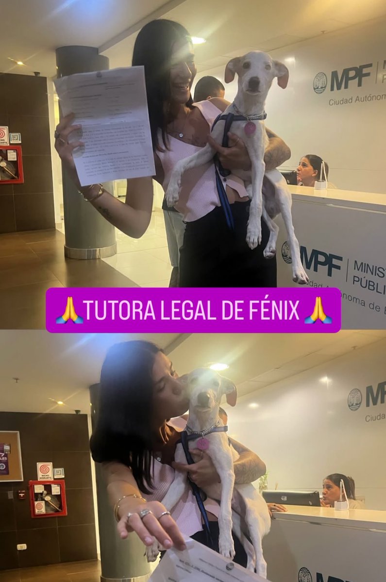 agostini____'s tweet image. La chica que rescató a Fénix logró ser su tutora. Nadie se lo va a sacar. 
Por otro lado se confirmaron los abusos por parte de PABLO SEGOVIA.