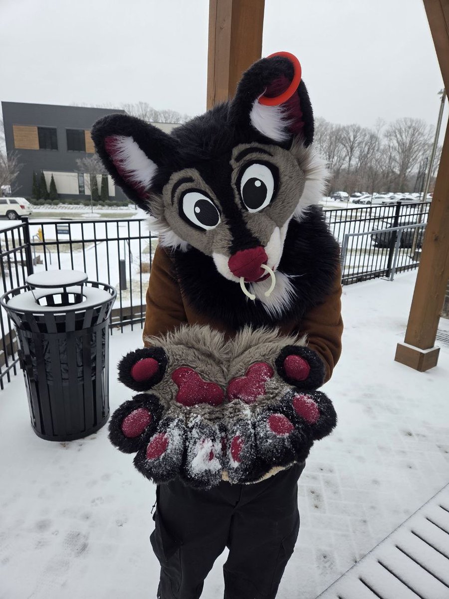 Snow day!!!!(after missing snow at ANE last year it was so much fun playing in it in suit!) #FursuitFriday 
📸 <a href="/atherianthrope/">SilverScared🐺❕</a>