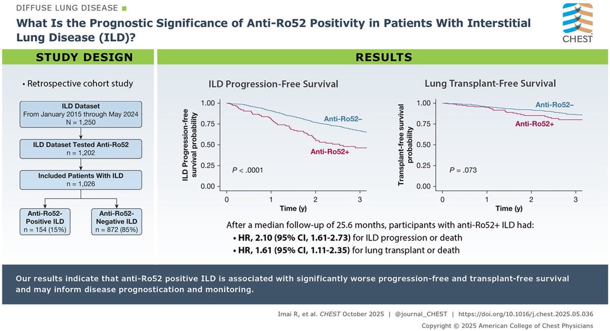 Anti-Ro52 seropositive interstitial lung disease (ILD) is associated with a higher risk of disease progression and mortality, as demonstrated by a recent cohort study that included 1,026 ILD patients (2015–2024). Anti-Ro52+ patients (15% of the cohort) showed significantly worse