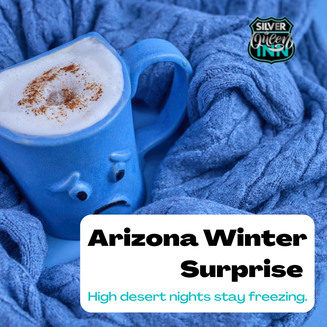 SilverQ70464822's tweet image. January nights in Kingman can drop fast. If you’re traveling Route 66, stay somewhere warm and comfortable before hitting the road again. 🌵🧣 #KingmanAZ #ArizonaWinter #Route66