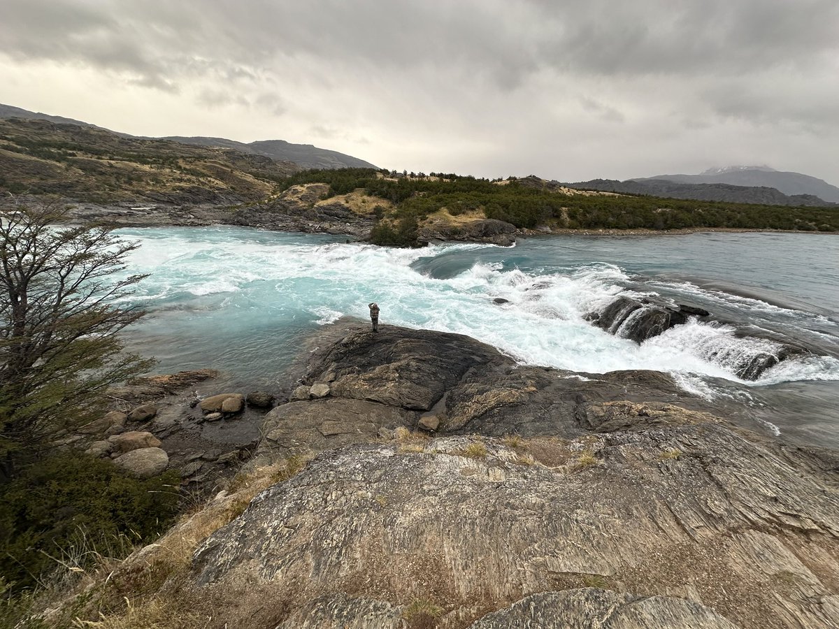 William Comai tweet media