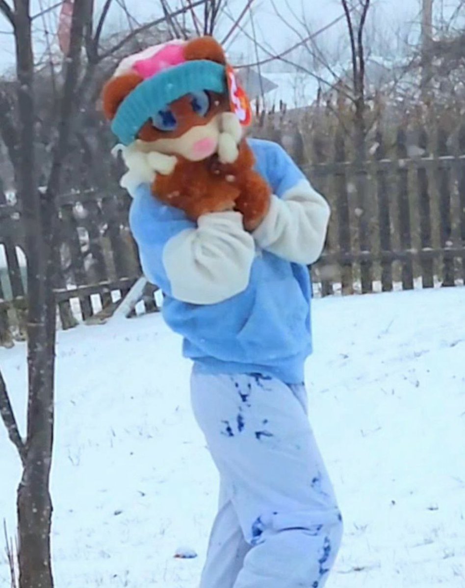 Fountain City Furs tweet media