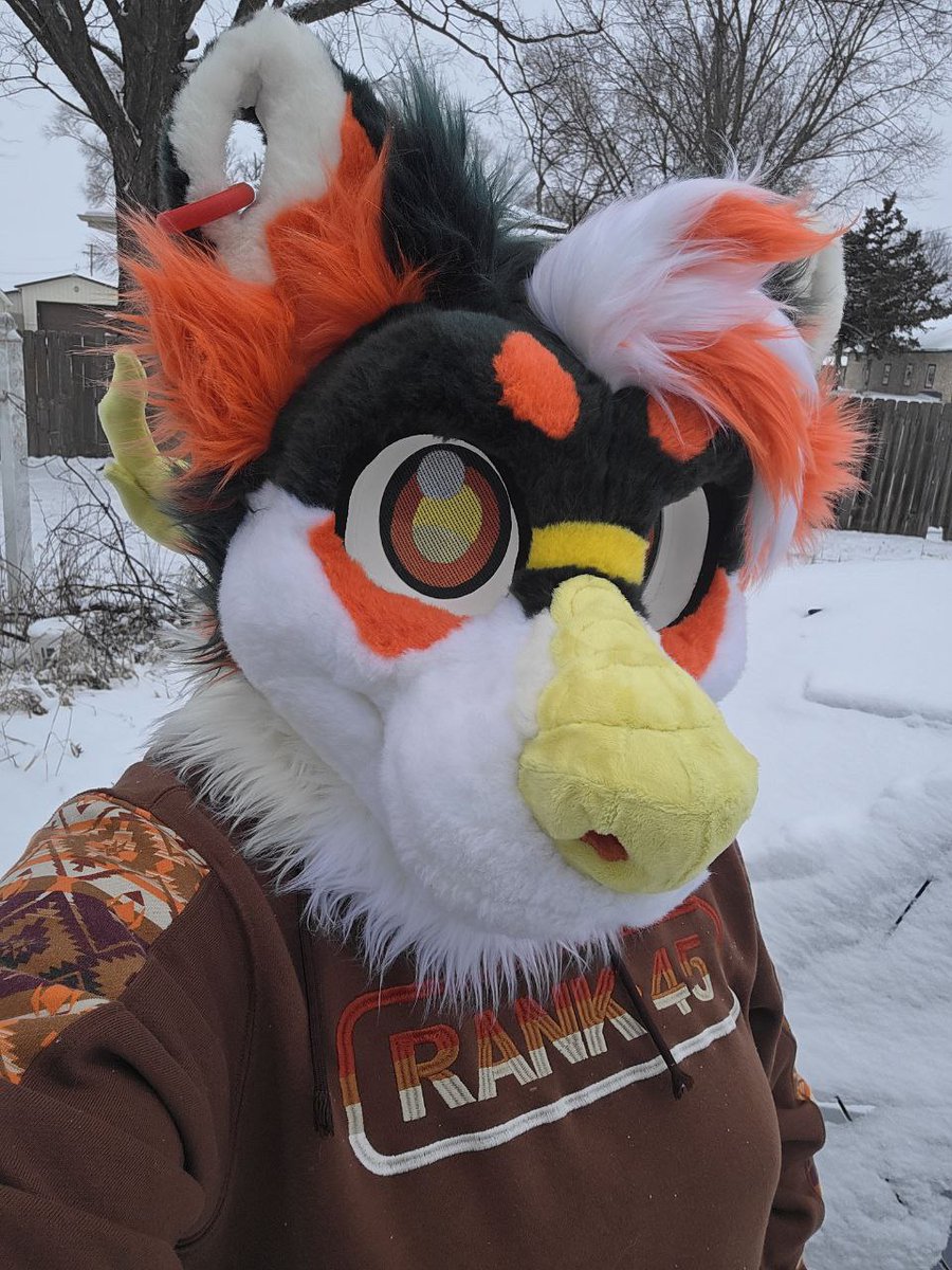 Fountain City Furs tweet media