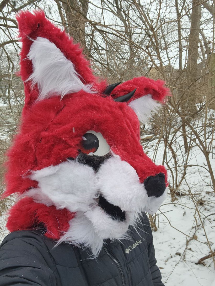 Fountain City Furs tweet media