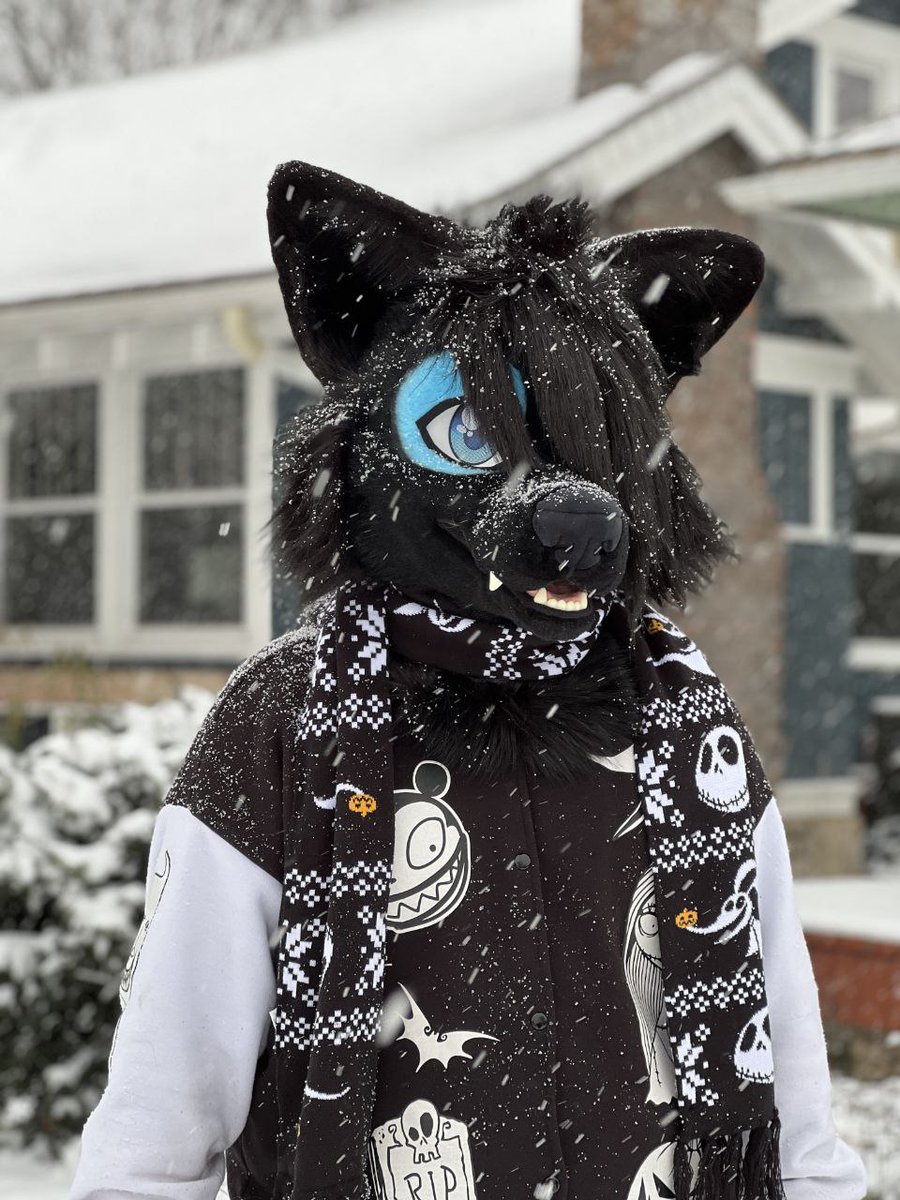 Fountain City Furs tweet media