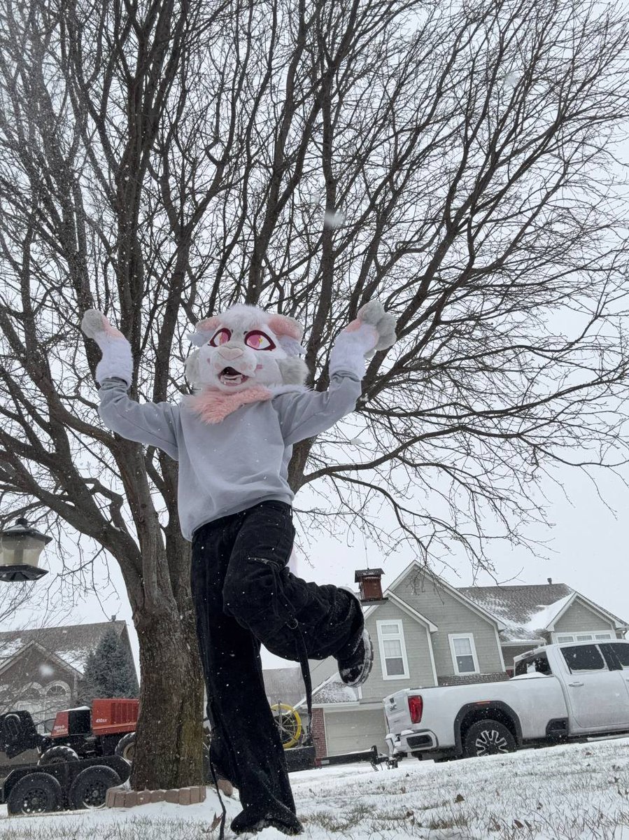 Fountain City Furs tweet media