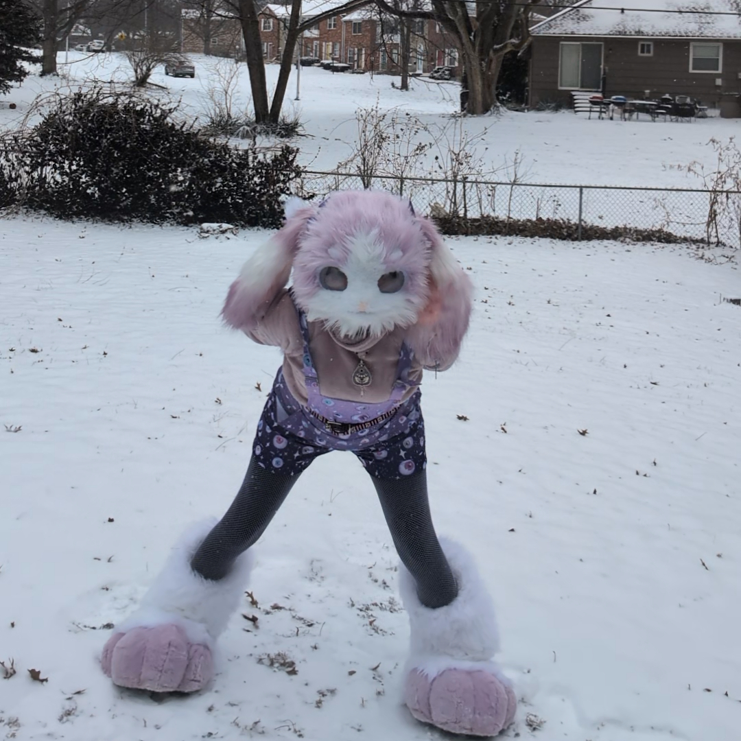 Fountain City Furs tweet media