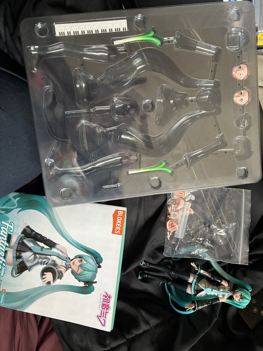 Craziest model kit ever 
#modelkit #mikuhatsune