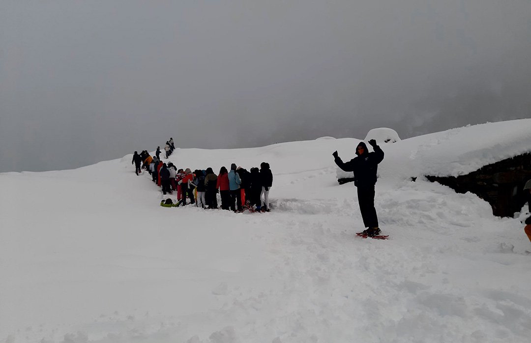 IES Isidra de Guzmán tweet media