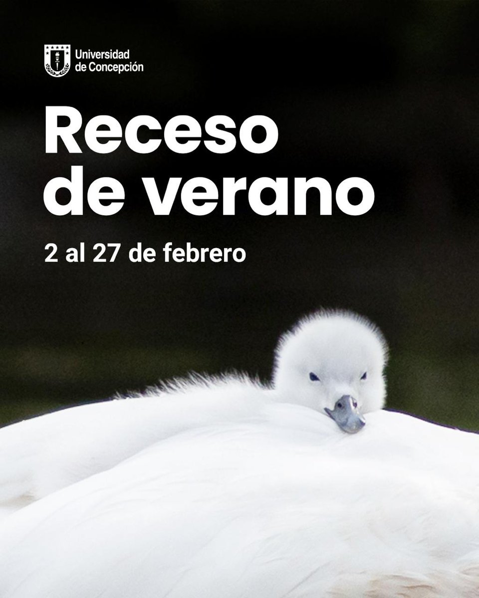 OTL UdeC tweet media