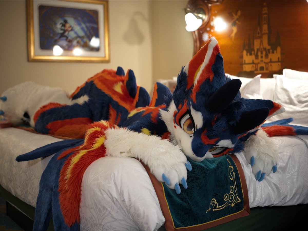 破晓 Allaub tweet media