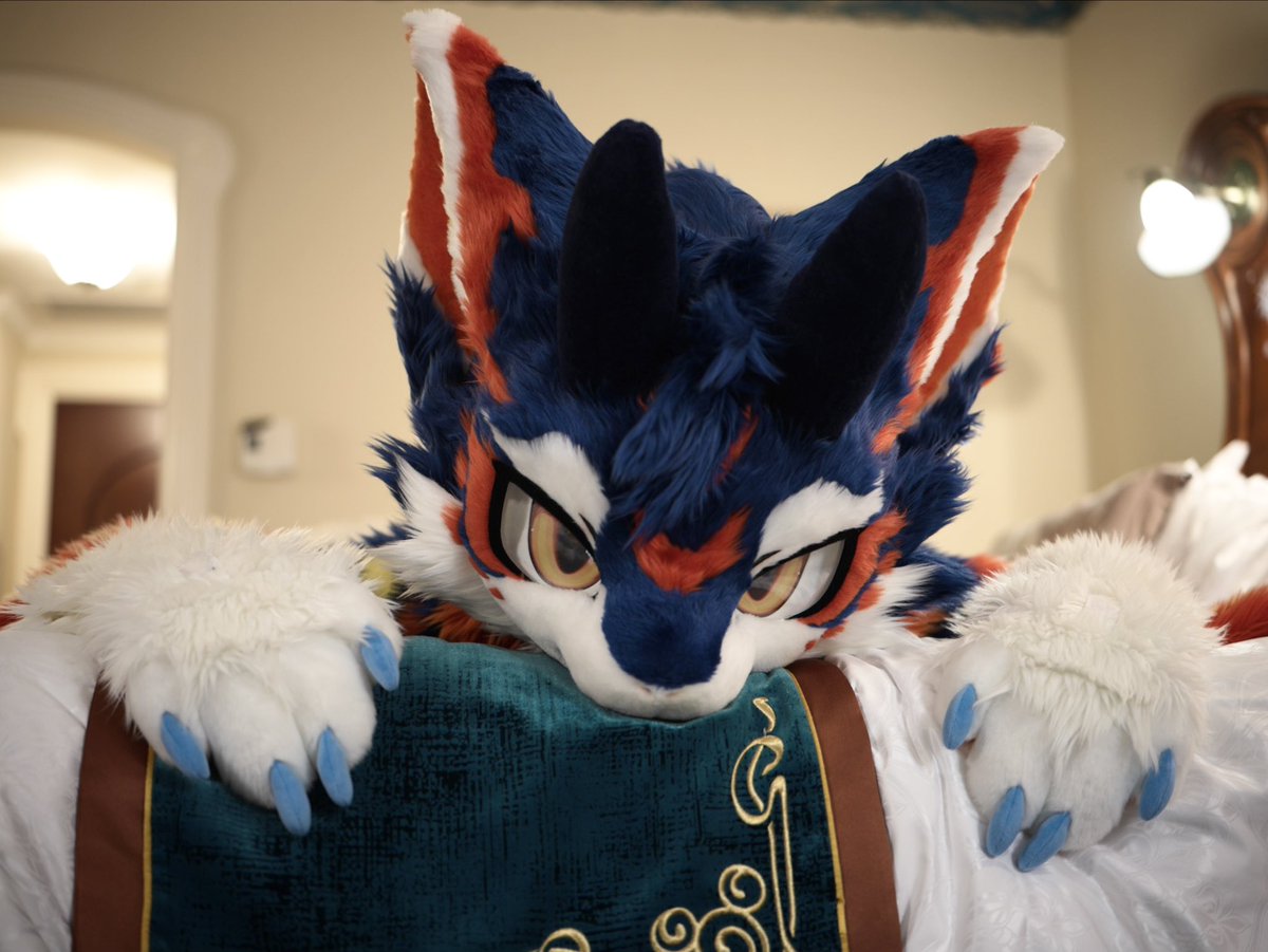 破晓 Allaub tweet media