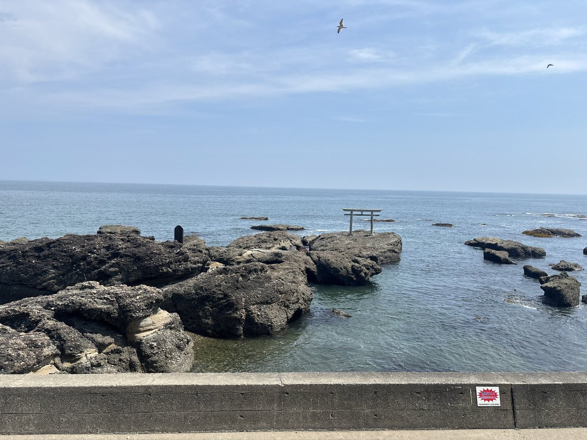 ふれあ tweet media