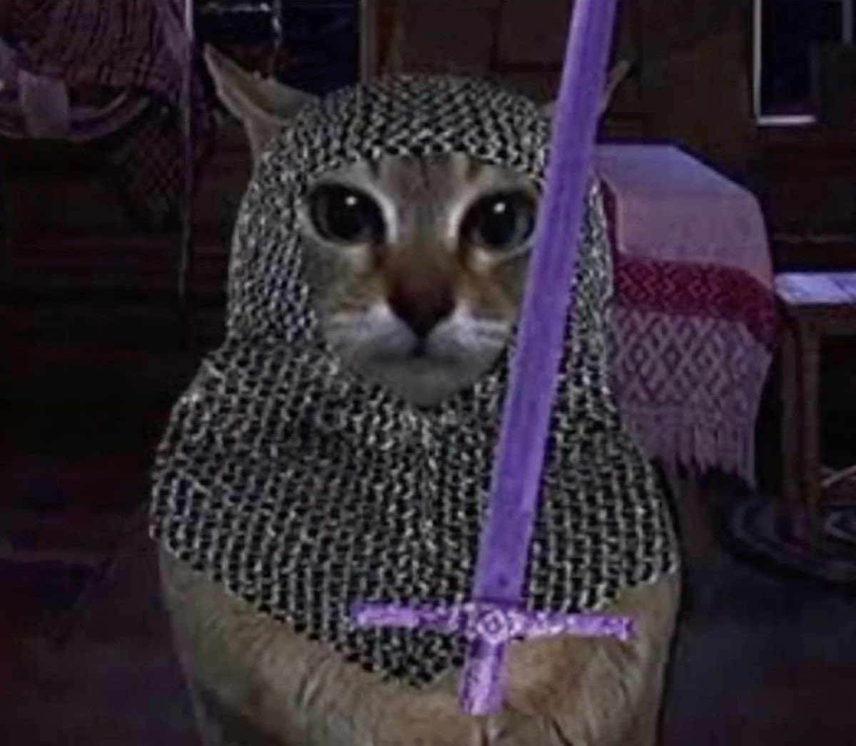 Kitty If they were accepted into the blue kingdom as a knight