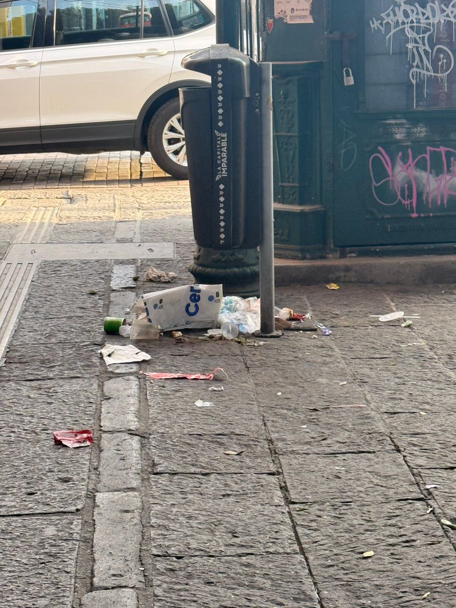 Carolina Beauregard tweet media