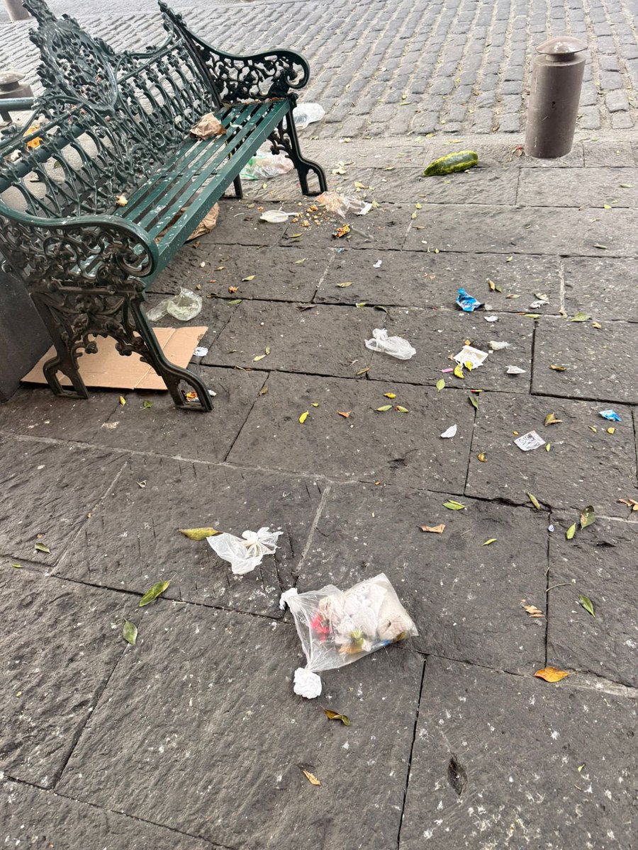 Carolina Beauregard tweet media