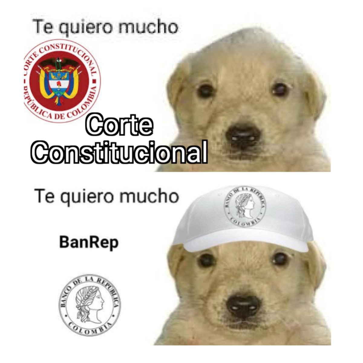 luisangelgd's tweet photo. El resumen de hoy en 1 imagen.

Los responsables de que este desastre no sea mucho peor. 

Lo preocupante es que no durarían otros 4 años (tendrían mayorías), el objetivo para todos debería ser claro: derrotar al Petrismo. https://t.co/zlI7W8g1JS