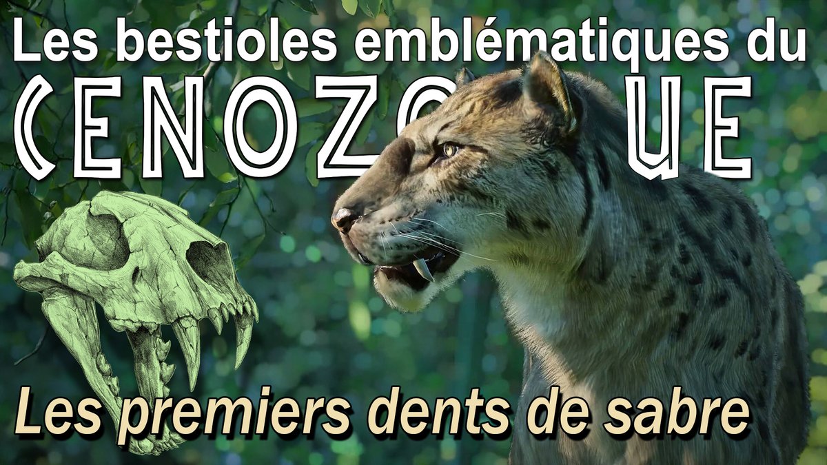 Simplex Paléo tweet media