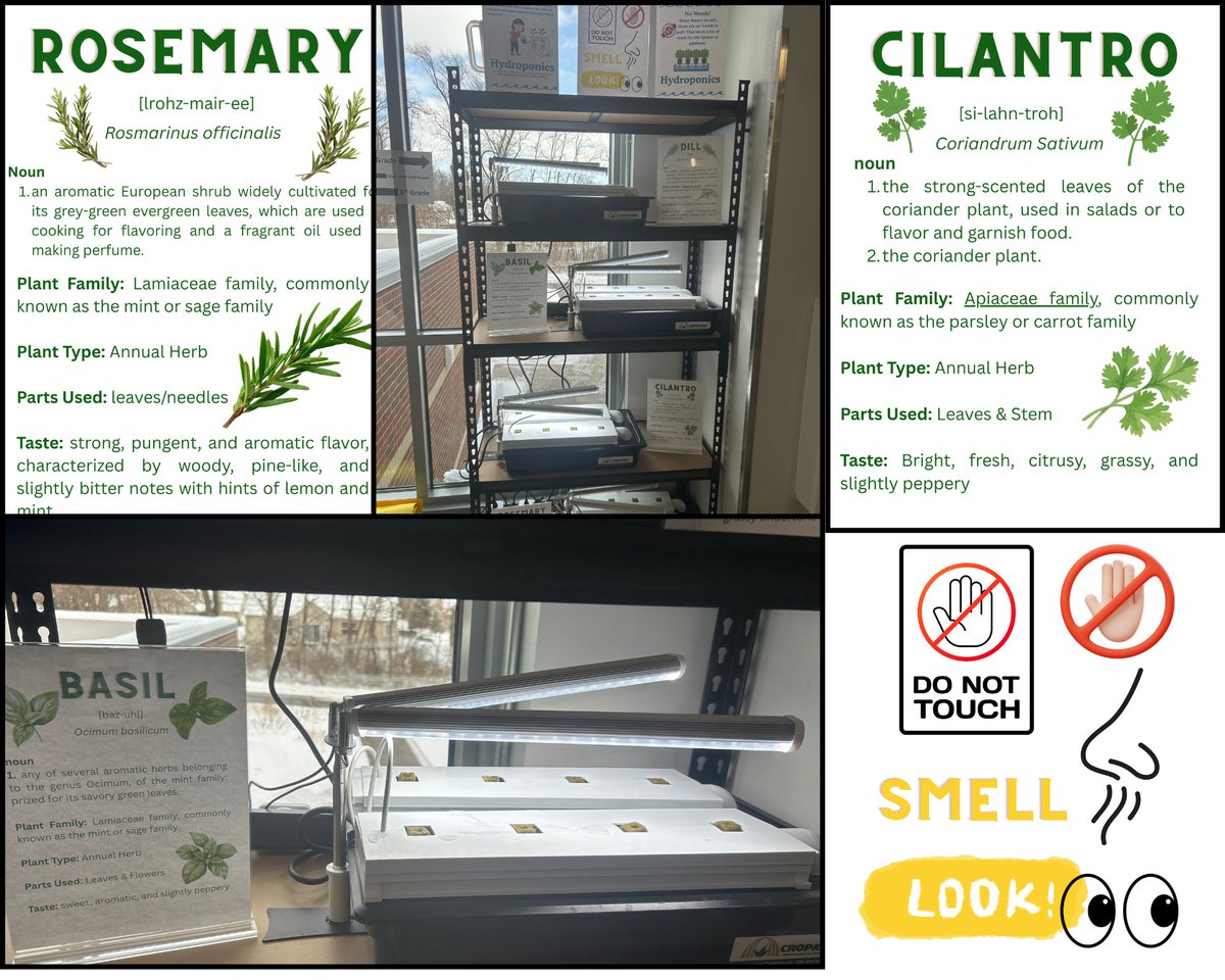 Amanda Sears tweet media