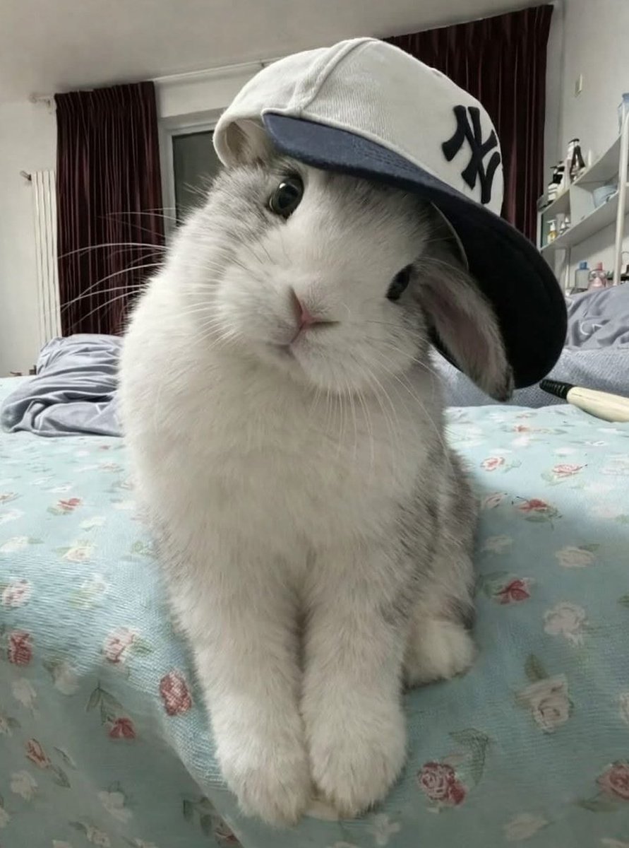 seungmin as bunnies (@seungbun_) on Twitter photo 