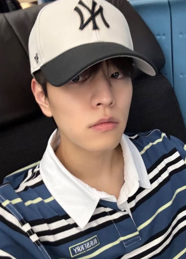 seungmin as bunnies tweet media