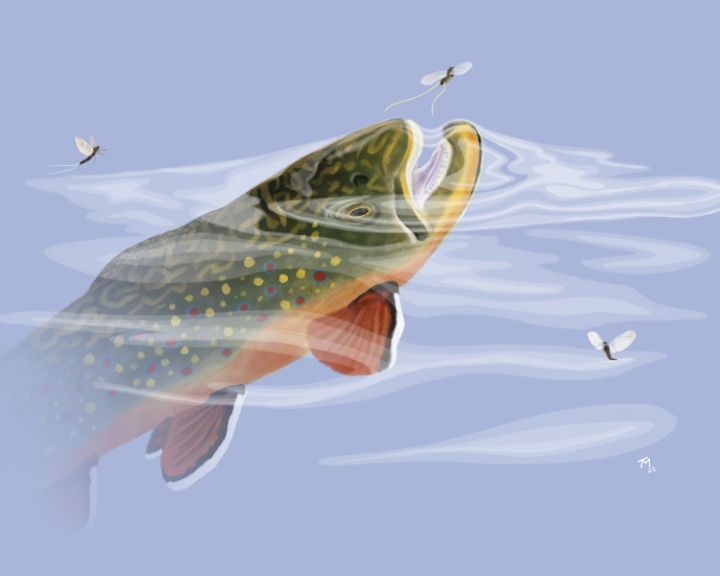 Art of the Day! "River Rising Series: Brook Bulging". Buy at: ArtPal.com/tmccall?i=2923…