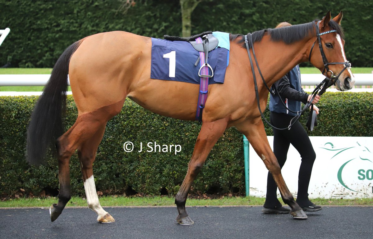 Jamie Sharp tweet media