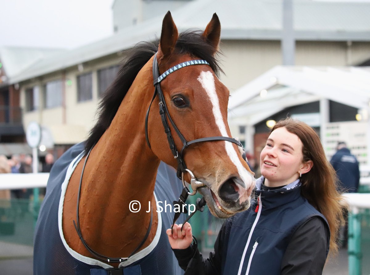 Jamie Sharp tweet media