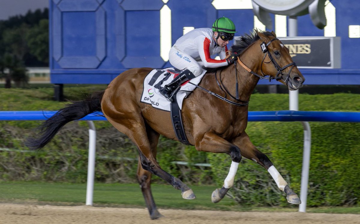 Pedro Lanz Bloodstock Agent tweet media