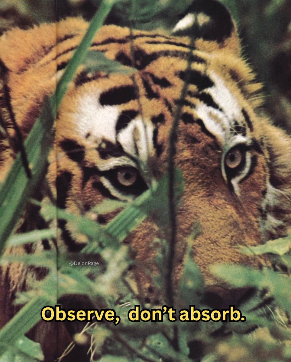 CalmDeion's tweet image. 