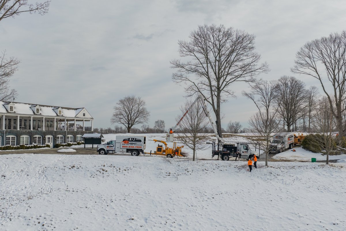 K&J Tree Service tweet media