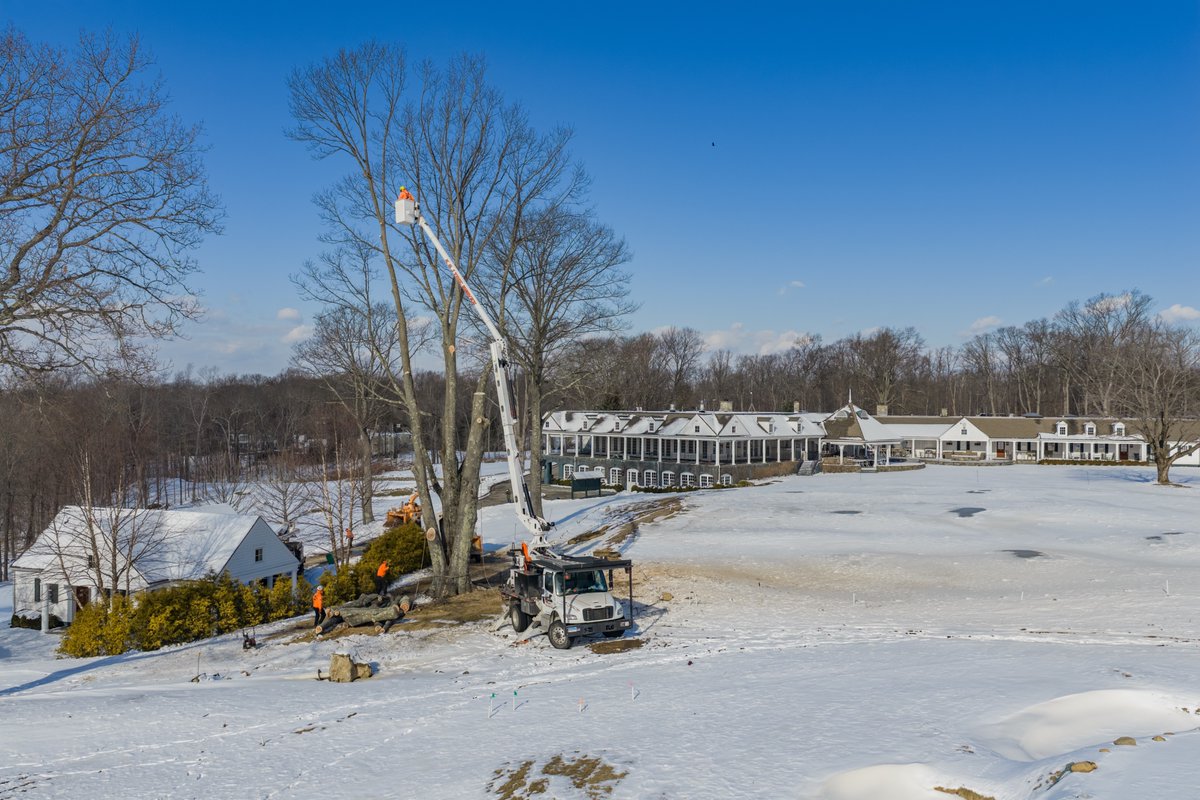 K&J Tree Service tweet media