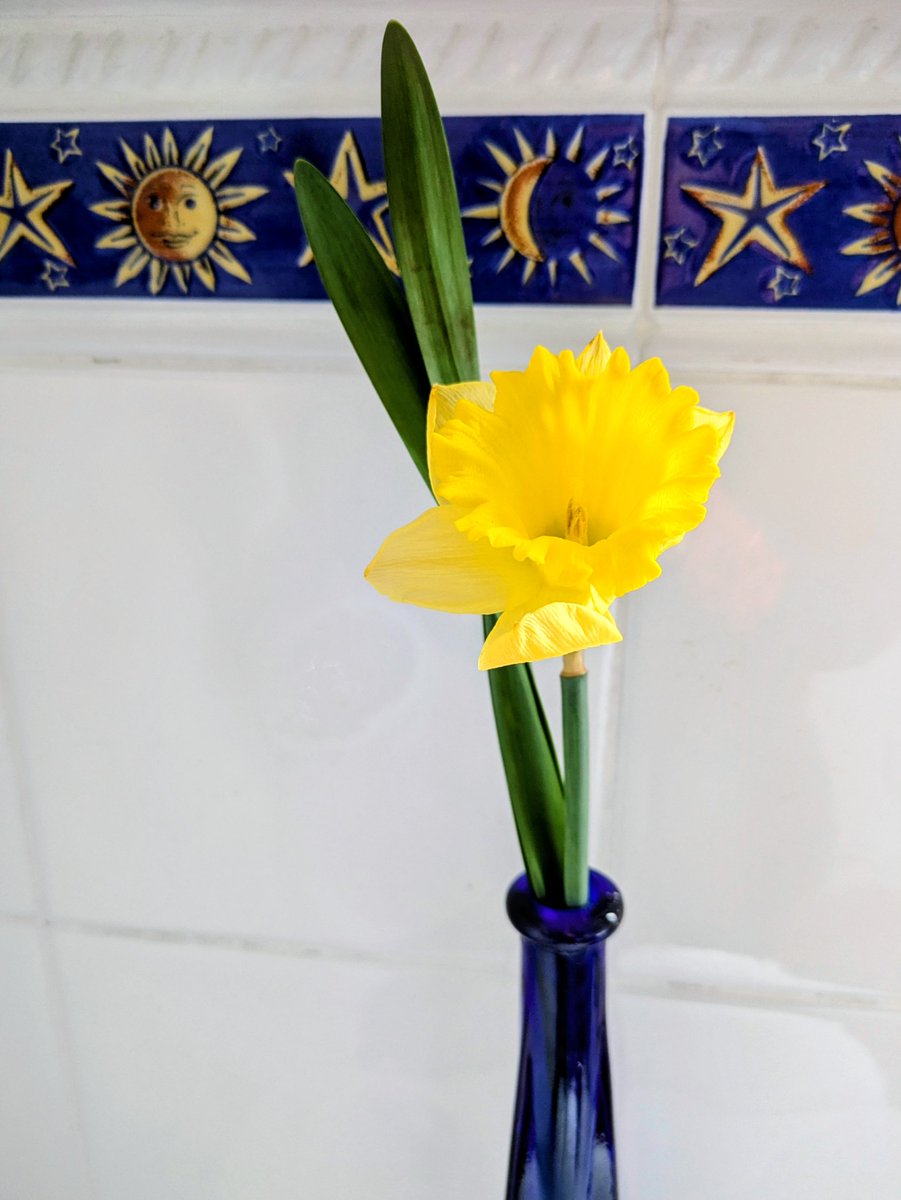 Ann Ward tweet media