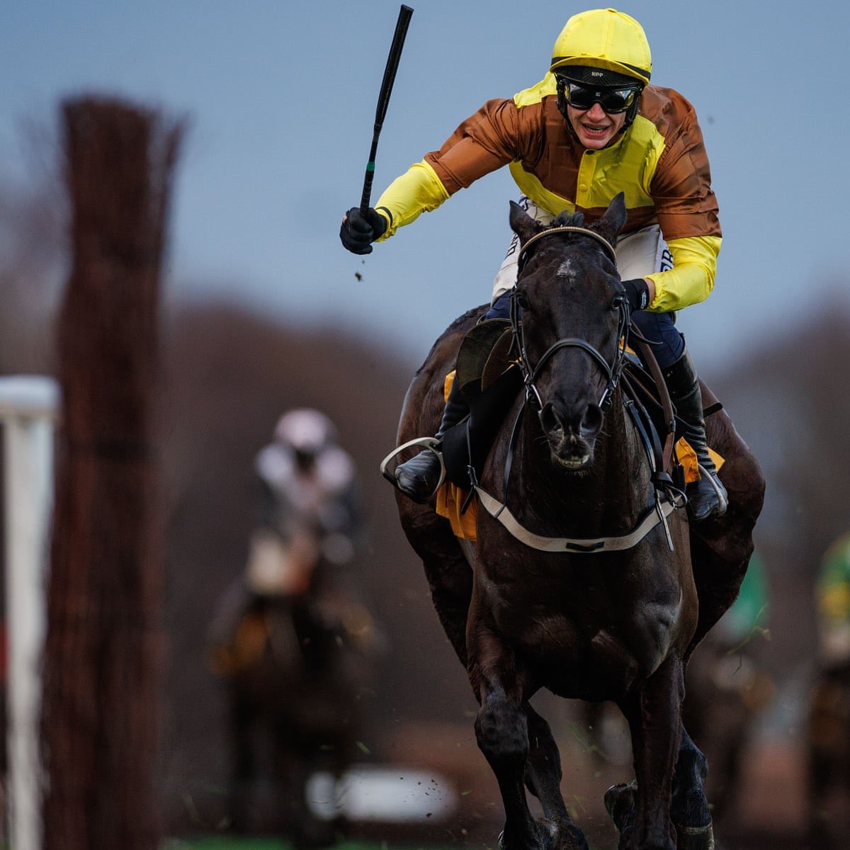 CASH GIVEAWAY 🤩

If Galopin des champs wins the Irish gold cup at Leopardstown, I will give one lucky person £100💴

To enter, simply like this post and make sure you’re following <a href="/theracehorseguy/">The Race Horse Guy</a> , good luck 🙏🏽