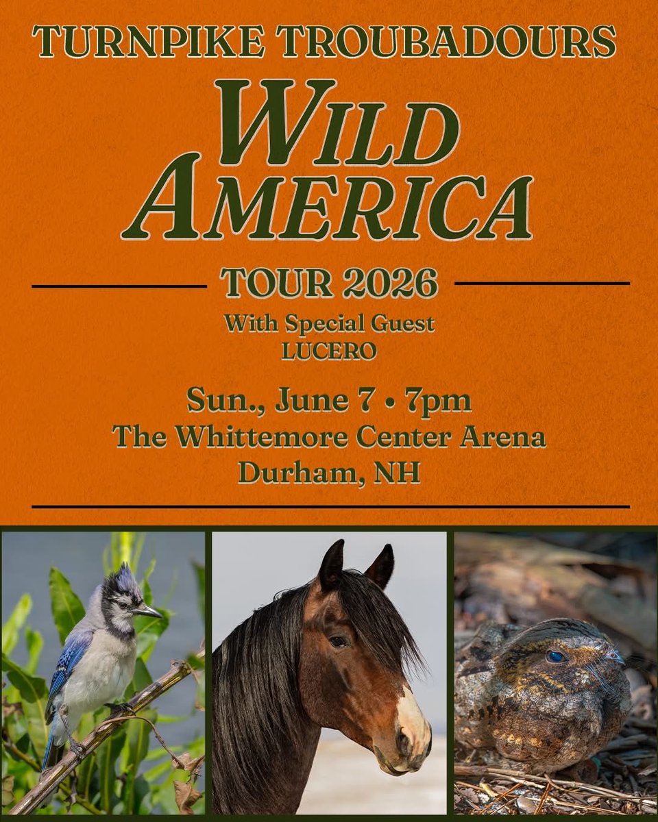 UNH Tickets tweet media