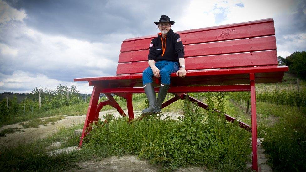 Paper Planes Interactive tweet media