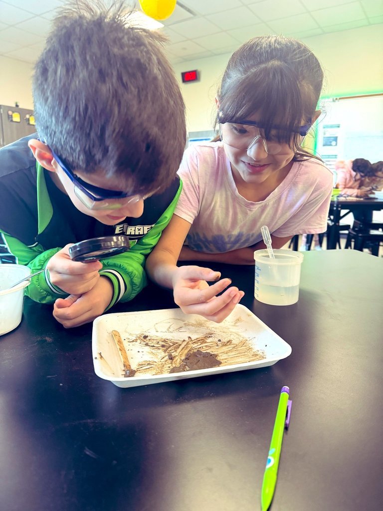 HumbleISD_NBE's tweet photo. 3rd graders asking big questions about soil—what it is, why it matters, and how different types feel and behave. Each table had a soil sample, and the room was buzzing with observations, debates, and curiosity. 🌱🪱 Science in action! #FitchsFriends #doingscience 🥼 🥽 https://t.co/pZSIi77Fuw