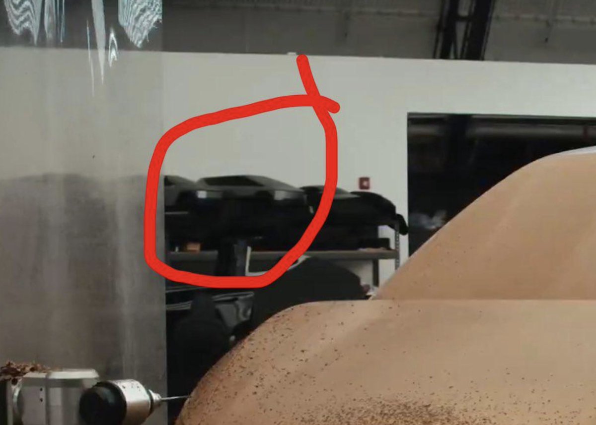 Stefen 🌿🦑 tweet media