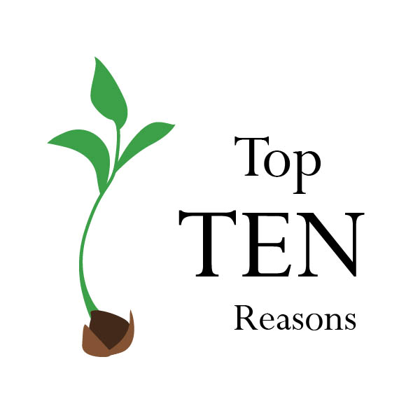 Slippery Elm tweet media