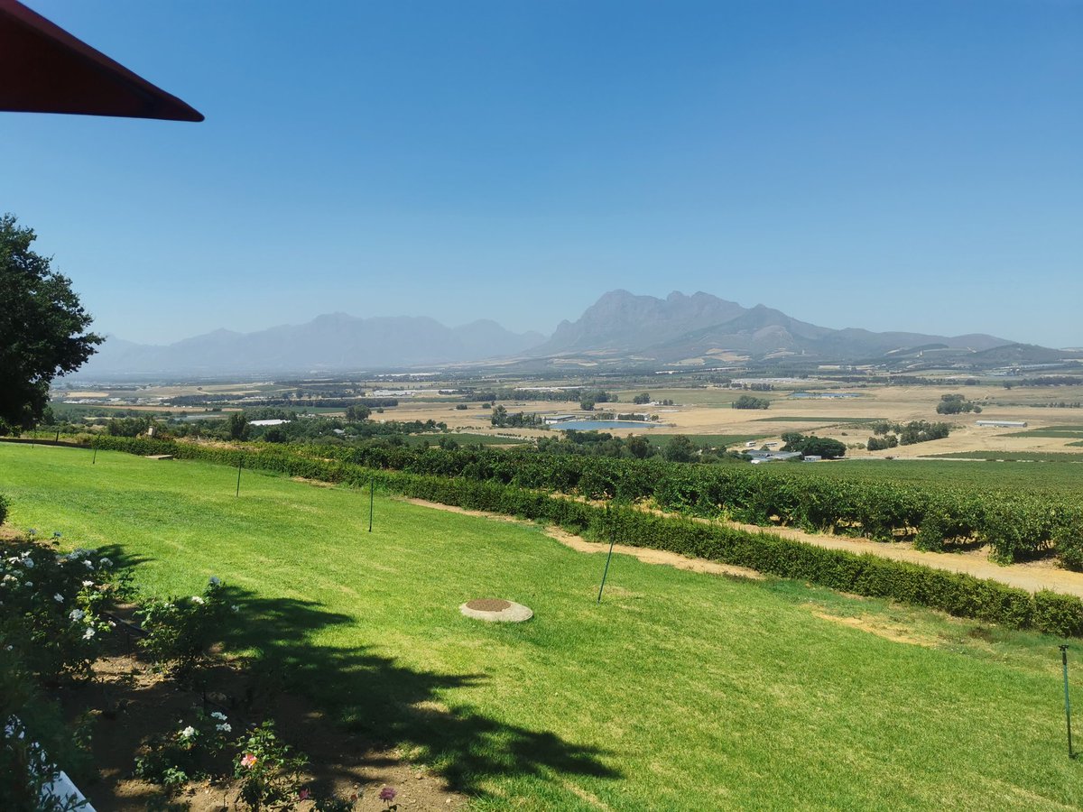 Paarl South Africa wine tasting. 🍷👌🇿🇦