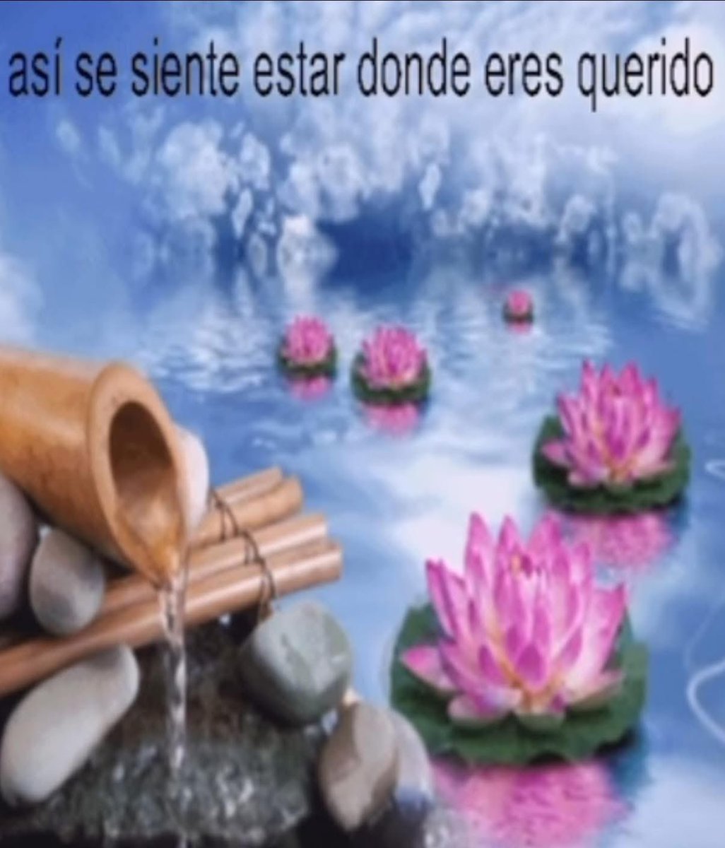 memefeos's tweet image. 