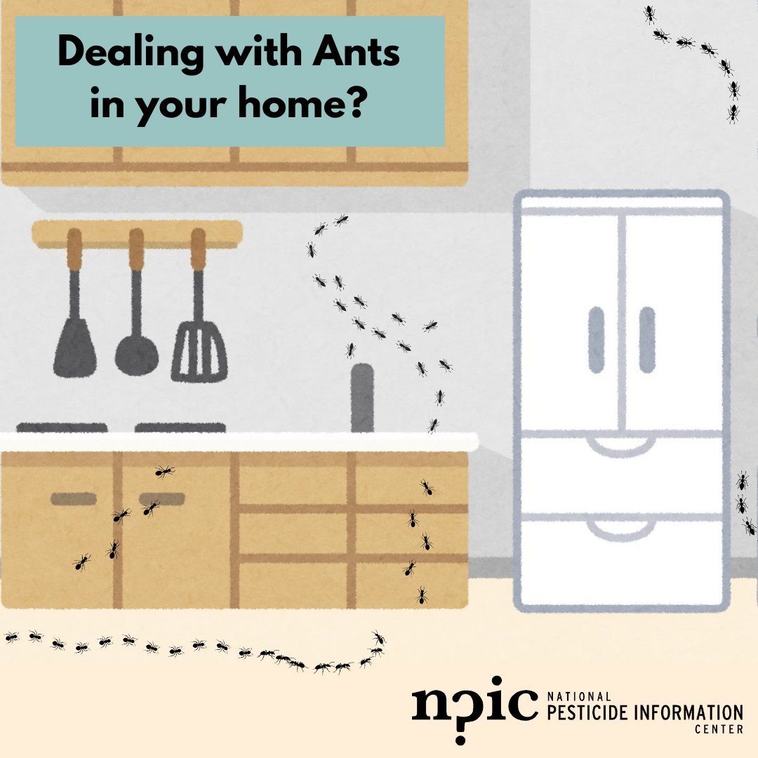 National Pesticide Information Center tweet media