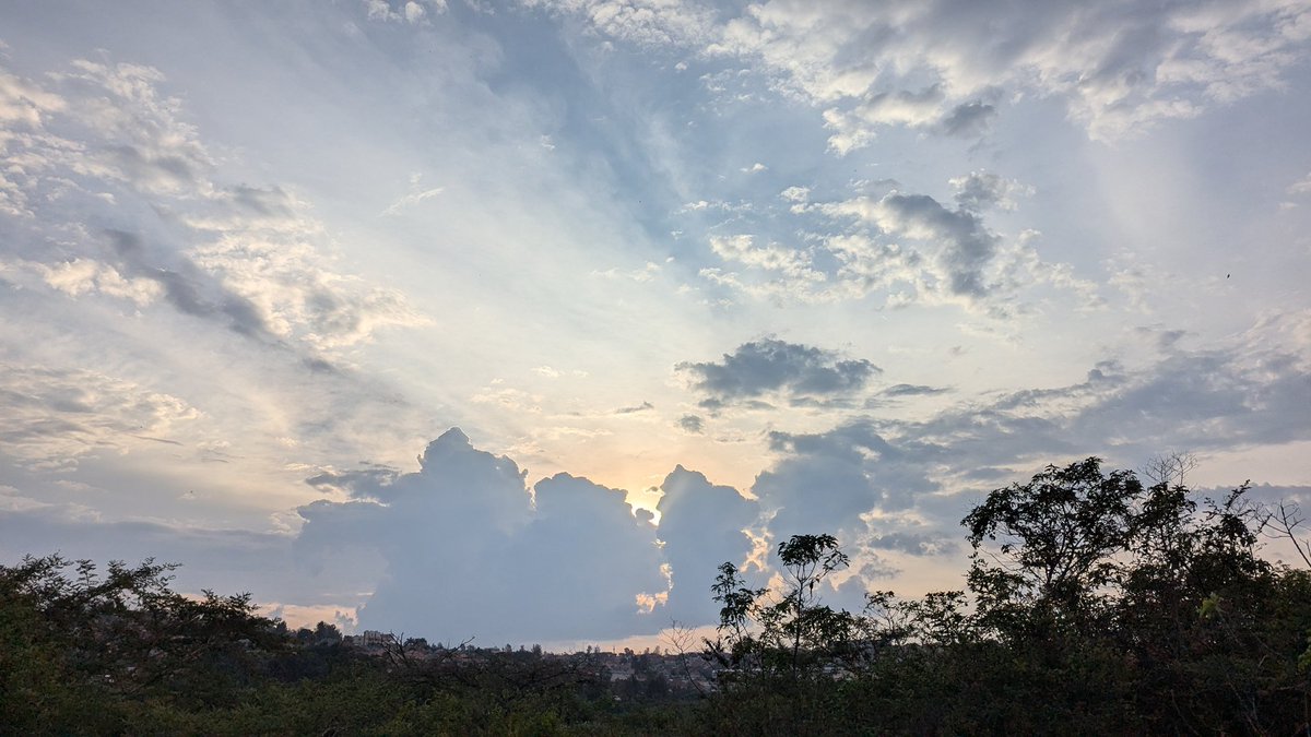 Our_Nat_Our_Fut's tweet image. Take a moment to share your hope for nature, for people, and for our shared future.
What kind of world do you believe in?
Your voice matters. Hope shared is hope multiplied🌱
Reply or post your hopes today. 
#HopeForNature #OurSharedFuture #ActForNature