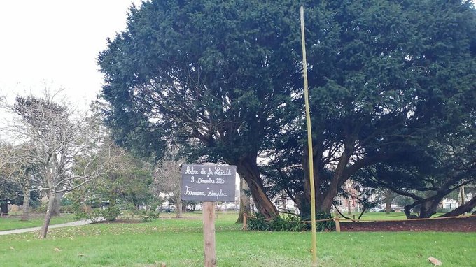 Image de l'actu de Presse Océan