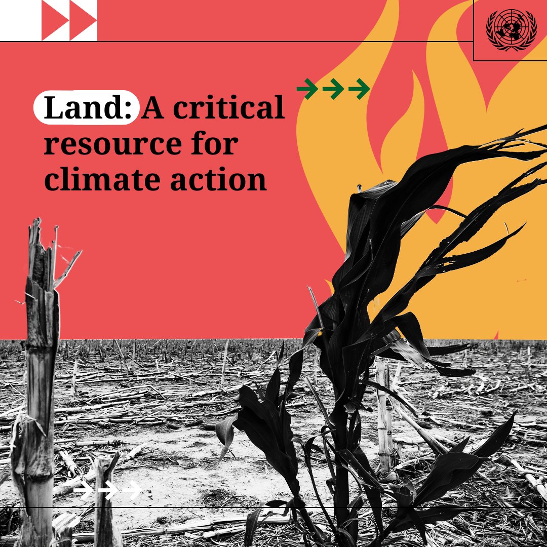 UN Environment Programme tweet media