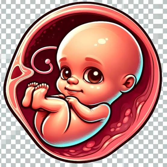 Prof Jonathan Shalit OBE tweet media