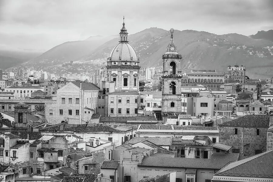 Joan Carroll tweet media