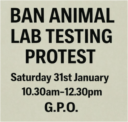 AnimalPartyIE's tweet photo. The #BanAnimalLabTesting protest will resume tomorrow Saturday outside the #GPO on #OConnellStreet in #Dublin #Ireland . We will be trying to get as many people as possible to sign our #Petition, so we truly need volunteers to support this effort.
#BanAnimalTesting
#SaveAnimals https://t.co/GI27gM5Td0