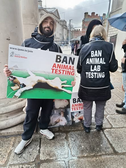 AnimalPartyIE's tweet photo. The #BanAnimalLabTesting protest will resume tomorrow Saturday outside the #GPO on #OConnellStreet in #Dublin #Ireland . We will be trying to get as many people as possible to sign our #Petition, so we truly need volunteers to support this effort.
#BanAnimalTesting
#SaveAnimals https://t.co/GI27gM5Td0
